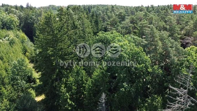 Prodej, Les, Opařany