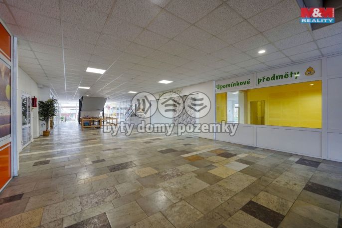 Pronájem, Obchod a služby, Třemošná
