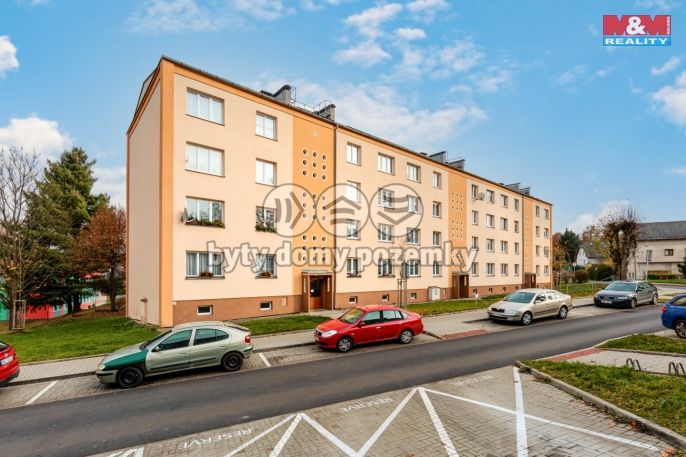 Pronájem, Byt 2+1, Nová Role