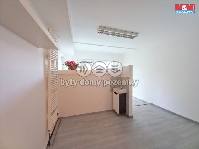 Pronájem, Obchod a služby, Ostrov