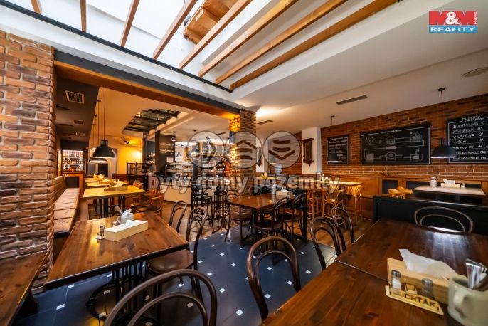 Pronájem, Restaurace, stravování, Olomouc