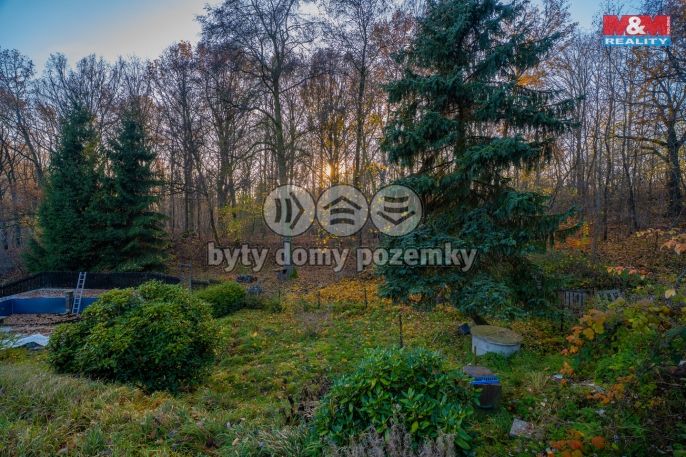 Prodej, Chata, Velké Chvojno