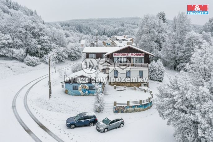 Prodej, Restaurace, stravování, Plavy