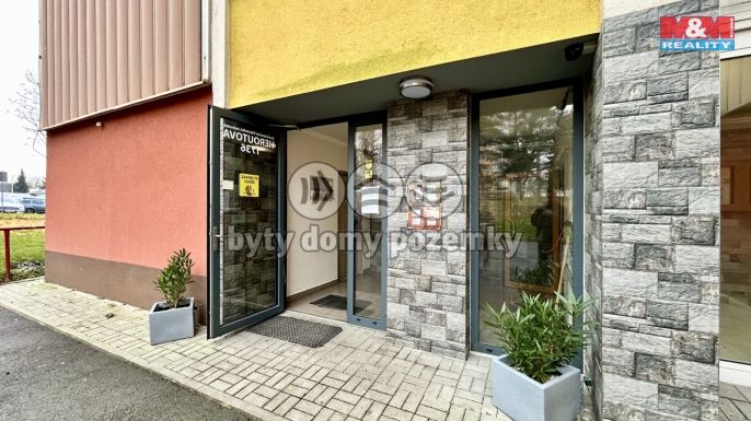 Pronájem, Byt 2+1, Česká Lípa