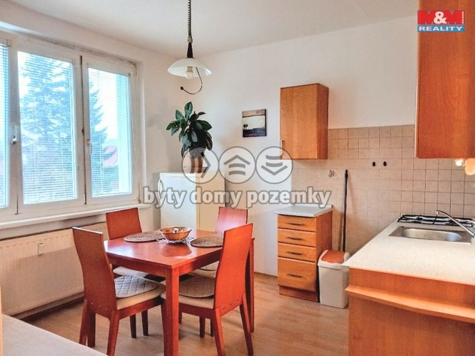 Pronájem, Byt 1+1, Ostrov