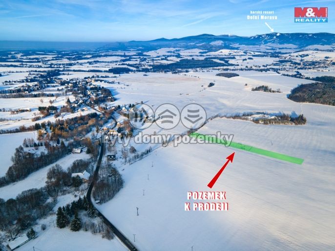 Prodej, Louka, Králíky