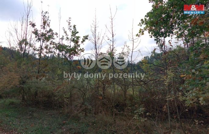 Prodej, Louka, Petrovice