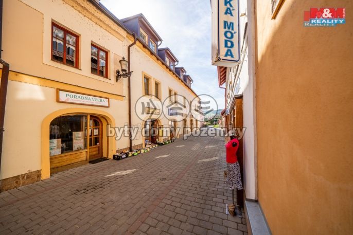 Pronájem, Byt 1+kk, Beroun