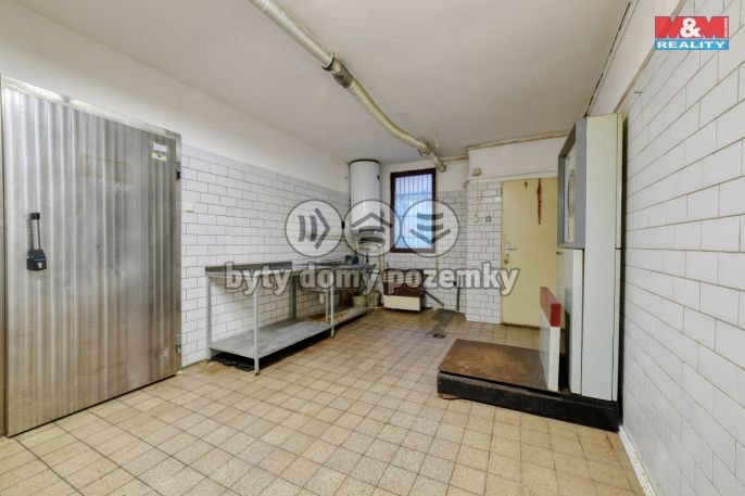 Pronájem, Obchod a služby, Planá