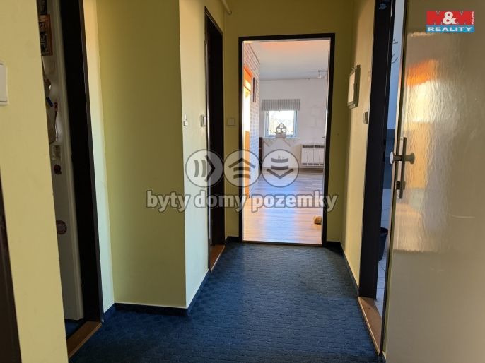 Pronájem, Byt 1+1, Staňkovice
