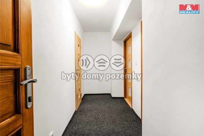 Pronájem, Byt 3+1, Snědovice