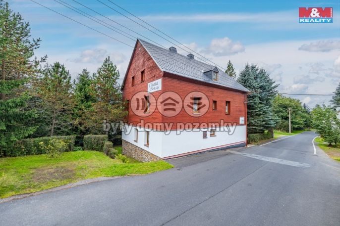 Prodej, Hotel, penzion, Loučná pod Klínovcem