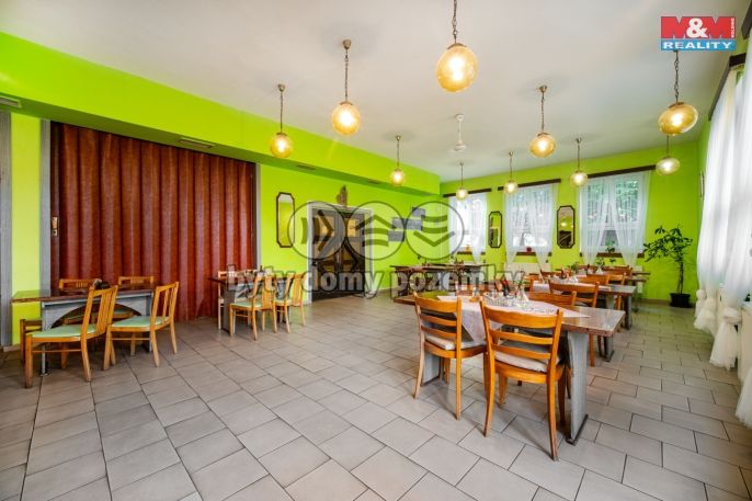 Prodej, Hotel, penzion, Stradouň