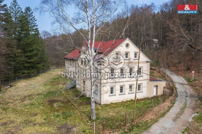 Prodej, Hotel, penzion, Petrovice