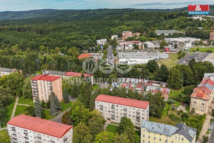 Prodej, Byt 3+1, Mariánské Lázně