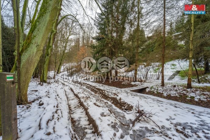 Prodej, Zahrada, Plasy