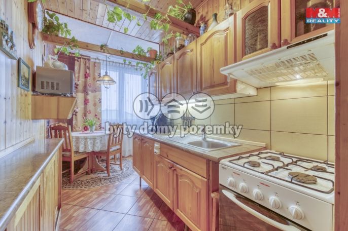 Prodej, Byt 2+1, Bor