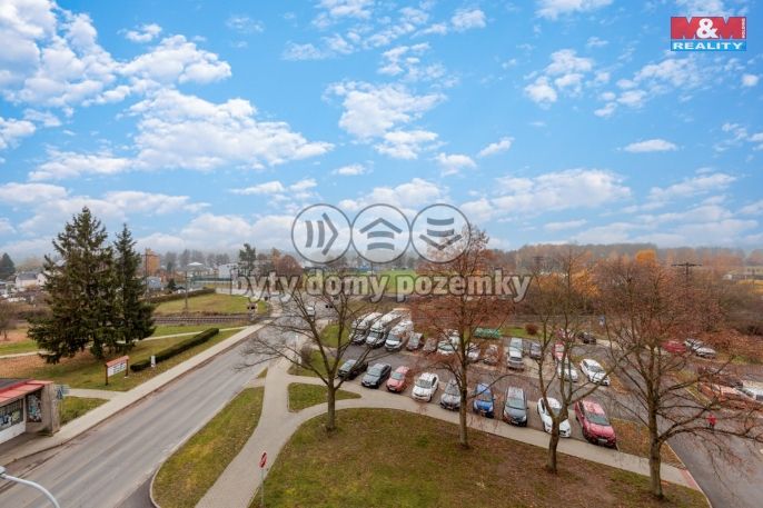 Prodej, Byt 3+1, Nová Role