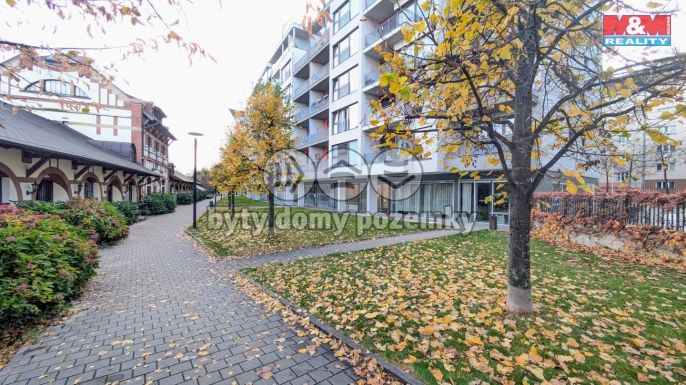 Pronájem, Kancelářský prostor, Praha