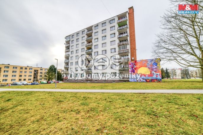 Prodej, Byt 2+1, Planá