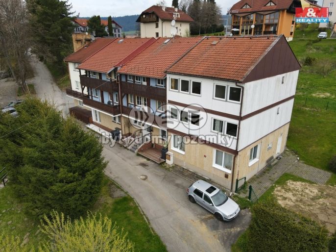 Prodej, Byt 1+kk, Lipno nad Vltavou