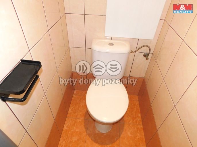 Pronájem, Byt 1+1, Františkovy Lázně