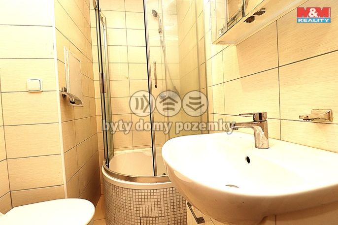 Pronájem, Byt 1+kk, Ostrov