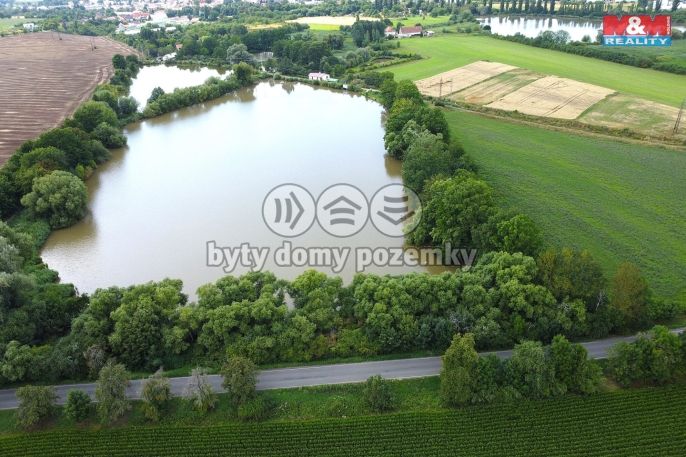 Prodej, Ostatní, Český Brod