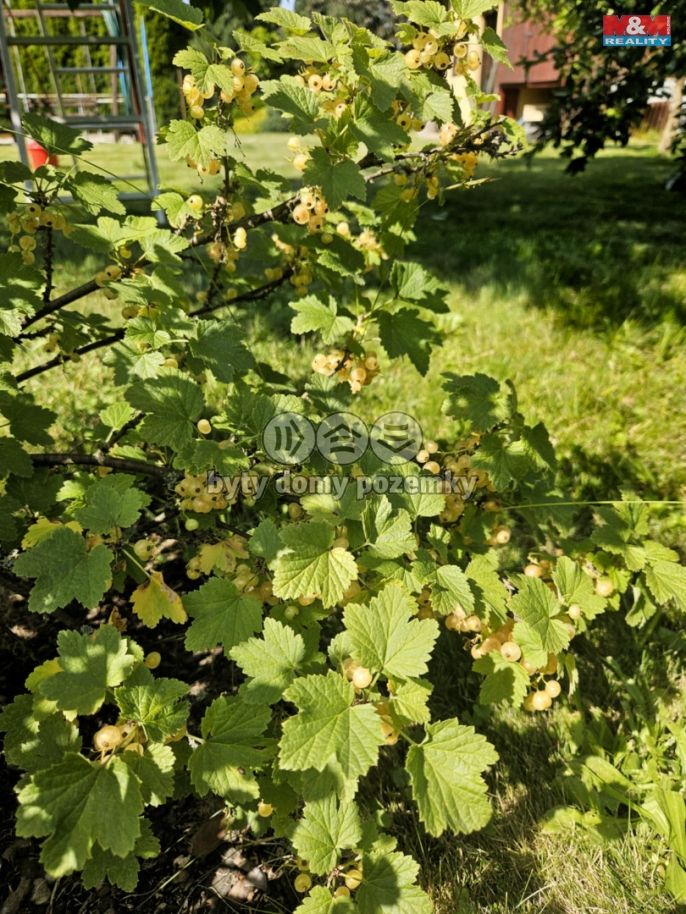 Prodej, Rodinný dům, Bohumín