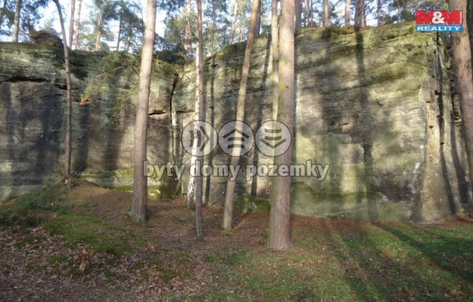 Prodej, Chata, Slatiňany