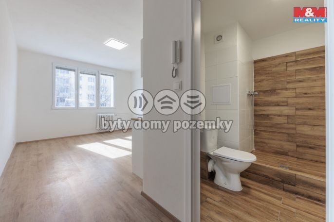 Prodej, Byt 1+kk, 19 m², Sokolov, Mánesova