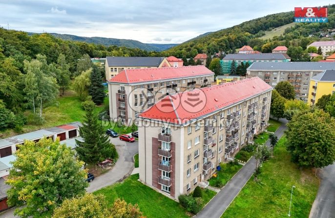 Prodej, Byt 2+1, Meziboří