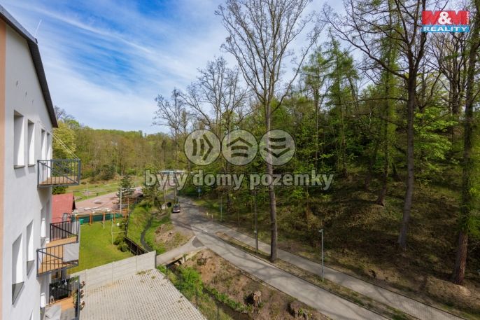 Prodej, Byt 3+kk, Cheb