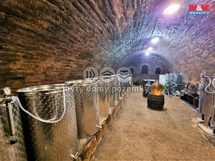 Prodej, Vinný sklep, Perná