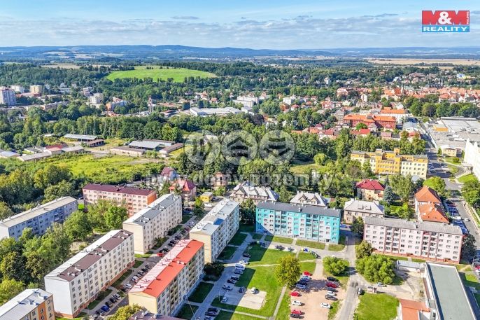 Prodej, Byt 2+1, Cheb