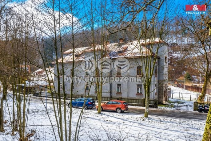 Prodej, Byt 2+1, Velké Hamry