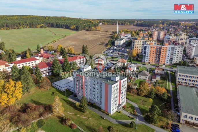 Prodej, Byt 1+kk, Horní Bříza