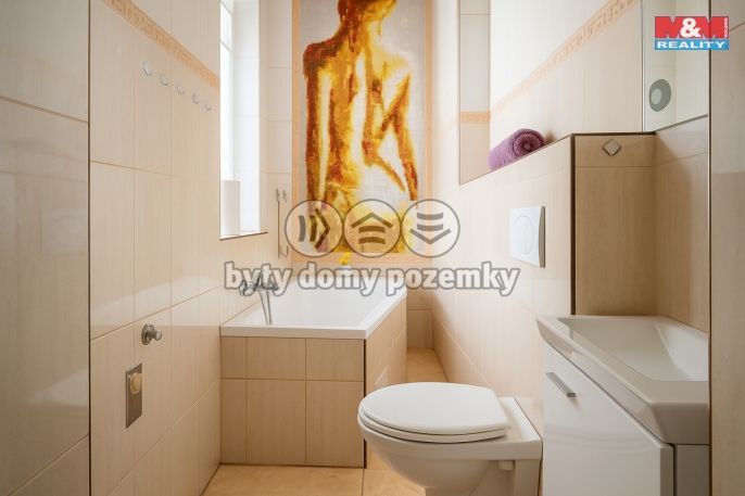 Prodej, Rodinný dům, Písek