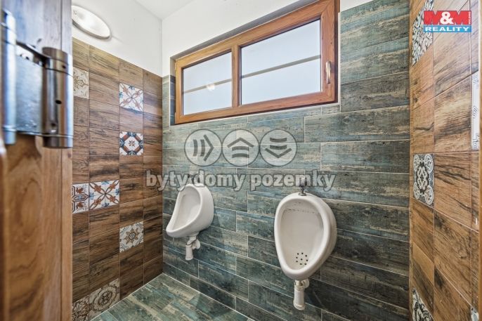 Prodej, Rodinný dům, Písařov