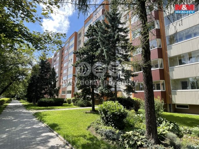 Prodej, Byt 1+1, Orlová