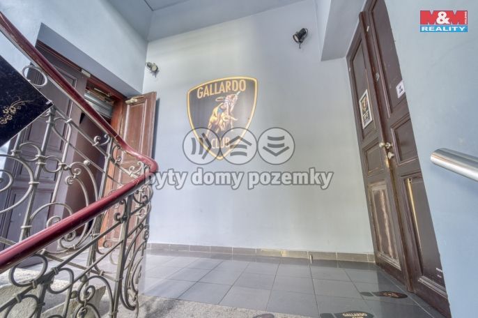 Pronájem, Obchod a služby, Plzeň