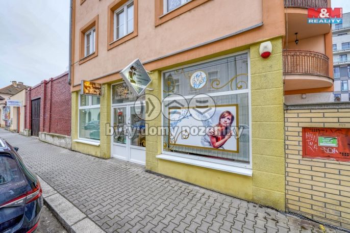 Pronájem, Obchod a služby, Plzeň