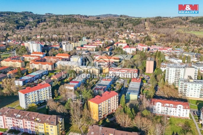 Pronájem, Byt 2+1, Mariánské Lázně
