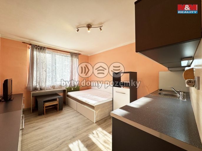 Pronájem, Byt 1+kk, Karlovy Vary