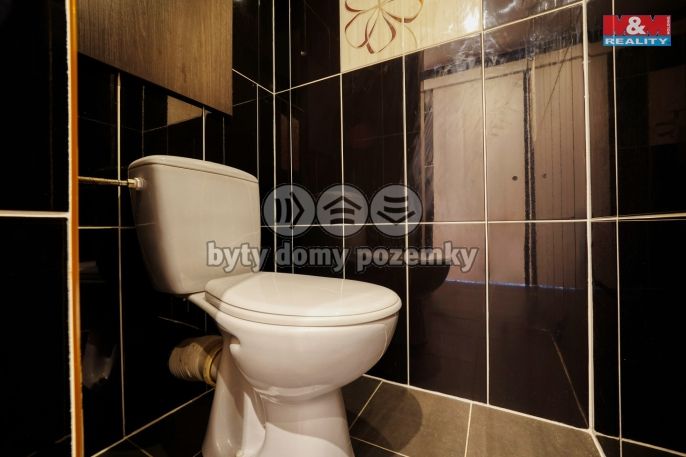 Pronájem, Byt 1+1, Žihle