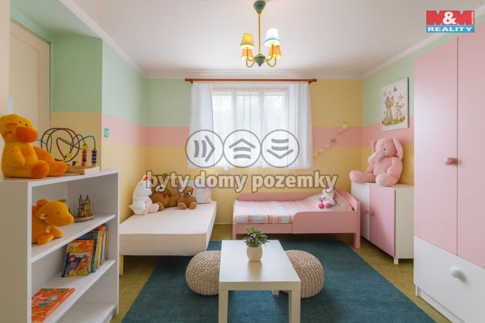 Prodej, Chalupa, Plánice