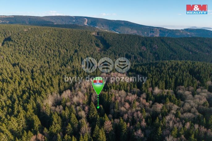 Prodej, Rodinný dům, Jáchymov