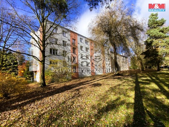 Pronájem, Byt 2+1, Žďár nad Sázavou
