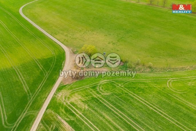 Prodej, Louka, Olešnice