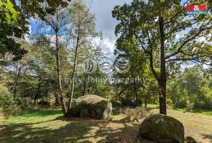 Prodej, Les, Petrovice